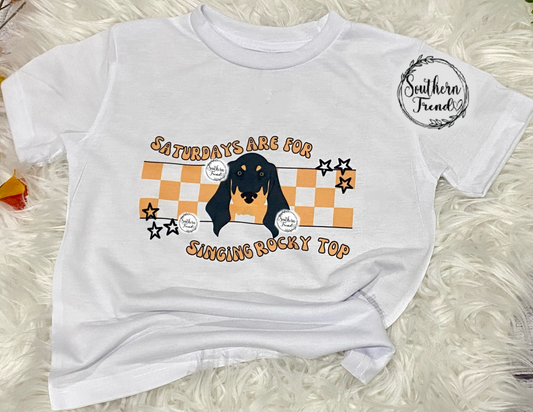Saturdays are for singing rocky top tee shirt